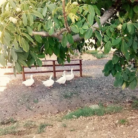 Due Passi Bed and Breakfast